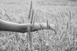2015-06-Life-of-Pix-free-stock-photos-arm-black-white-wheat-santalla